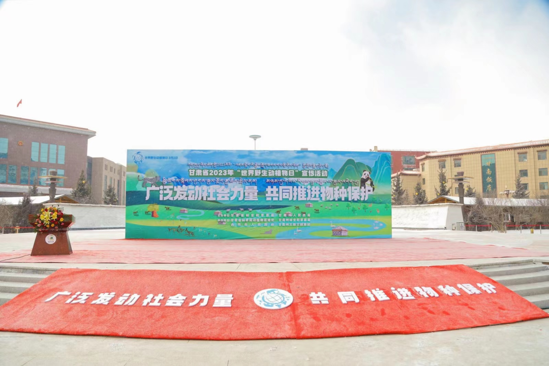 202303061678095073755207.png 3.png