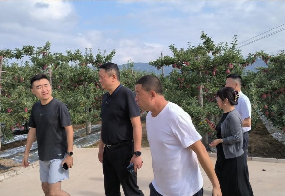 202309201695210679999154.png 1.png