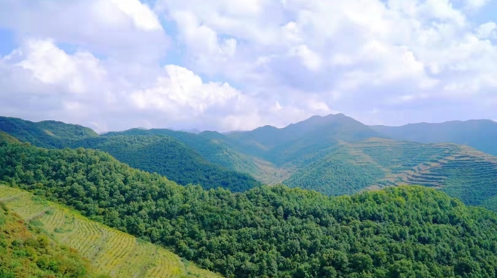 202403261711416484311808.jpg 微信圖片_20240326092725_副本.jpg